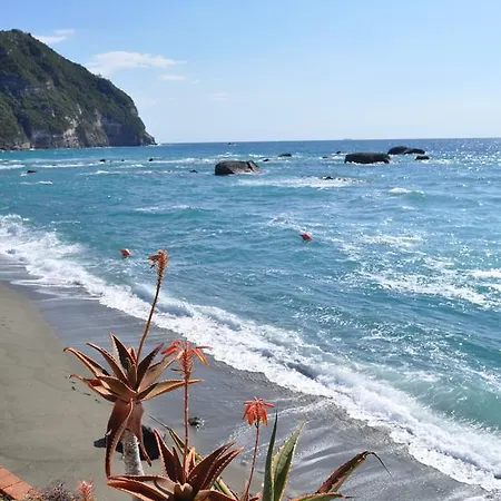 La Citarea Forio di Ischia