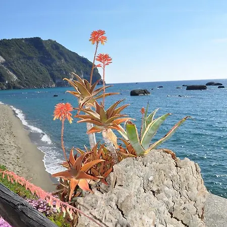La Citarea Forio di Ischia